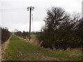 Lane to Ludney Farm