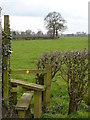 Stile and field by Davenport Lane Farm, Marton