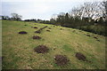 Mole Hills All In a Row