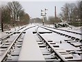 Snow on the Line