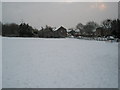 A snowy Lime Grove Rec