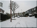 Collington Crescent in the snow