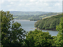 SX4460 : Warleigh Point, Plymouth by Mick Lobb