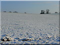 SO5825 : Snowy field at Bridstow by Jonathan Billinger