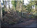 Footpath on Lavenders Road