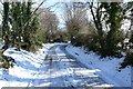 Snowy Lane