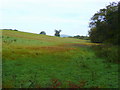 Pasture land near Hymon Bridge