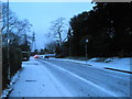 Bus stop in a snowy Medina Road