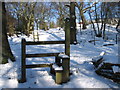 Footpath in Close Wood