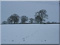 Path to Haughton Farm from Ellesmere