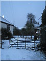 A snowy garden in Medina Road