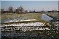 Abbey fishponds