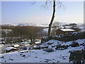 Free Lane Allotments