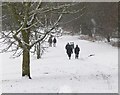 Snow on Braunstone Park