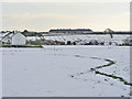 Across the school playing field in winter