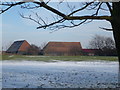 Ancient barns at Abbey Farm