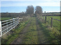 Farm track east of Crowfield