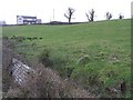 Lissan Townland