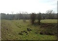 Moated site, Garshall Green