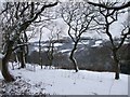 View from Wenallt Road, Cardiff