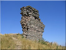 SO2980 : Ruined Wall of Clun Castle by Jeff Buck