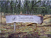 NJ0831 : Delliefure Natural Burial Ground by Ann Harrison