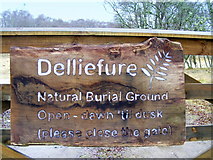 NJ0831 : Delliefure Natural  Burial Ground by Ann Harrison