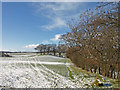 Farmland near Blaelochhead