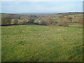 Pasture north of Durbridge Road