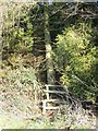 Stile on cutting corner footpath