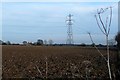 Farmland south of Flaunden