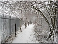 Footpath beside the River Rother