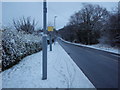 Wareham Road, Corfe Mullen.