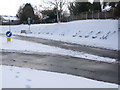 Shaftesbury in Bloom... ing snow!