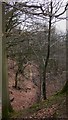 Looking down on steep bridleway