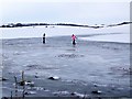 Skating on the fields, Stoke Farthing