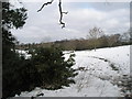 A snowy scene behind Alresford Road