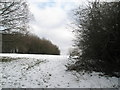 The nursery slopes of Stag Hill