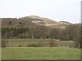 Farmland, Balmeadie