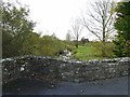 View from Pont Spwdwr (Spudder