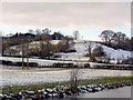 Slope up to Calverley House Farm