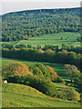 View across Nidderdale towards Guise Cliff