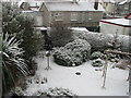 A snowy back garden