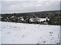 View down into Guildford from hill between The Mount and Wodeland Avenue