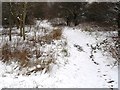 Path on Manor Park Toton