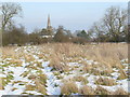 Scrubland by the Trent