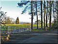 Natural Burial Ground near Cardiff