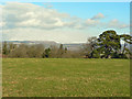 Natural Burial Ground near Cardiff