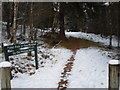 Start of Glen Moriston Path