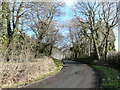 Bend in a lane at Hensol Forest